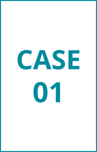 CASE01