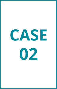 CASE02